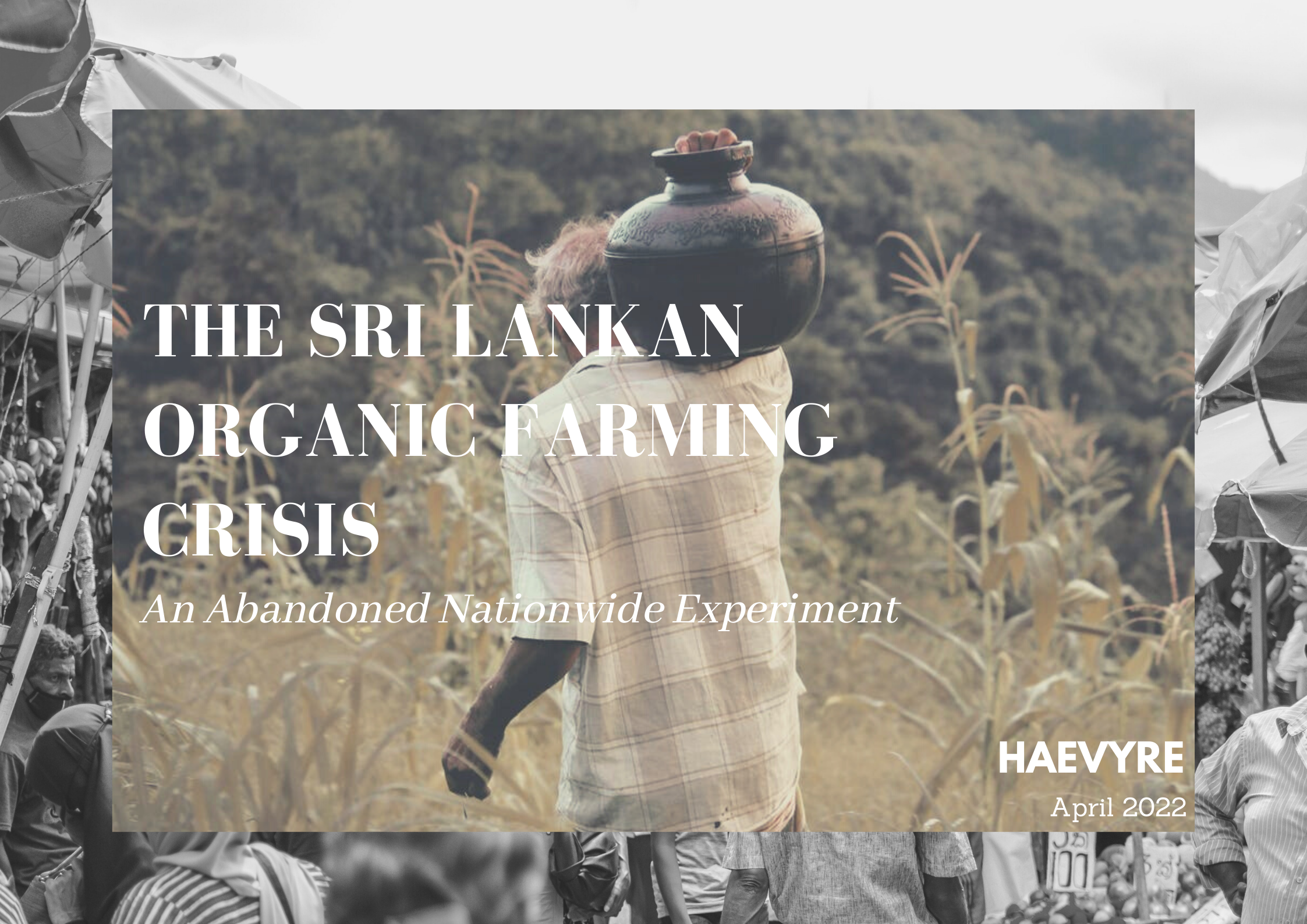 The Sri Lankan Organic Farming Crisis: An Abandoned Nationwide Experiment